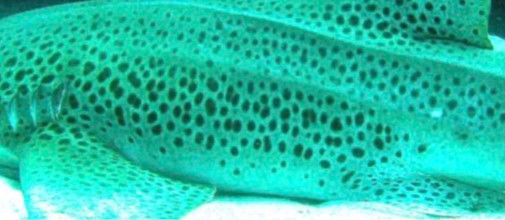 9f40b05d-5cb6-40a1-8c3b-21618f11febb