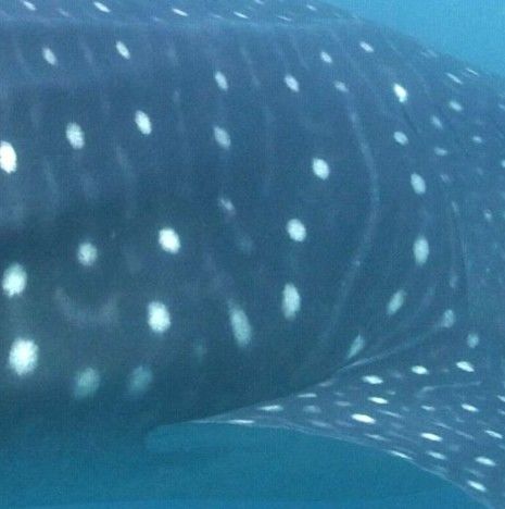 e2417d8e-72df-43c7-ad9f-33444fae4e17