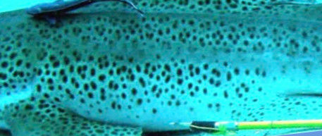 5e41a013-0c72-4419-8d66-cc91661f9c04