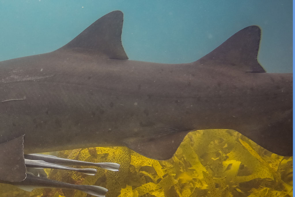 23e6f1d2-a782-4e6c-ac07-27ce05cb568a