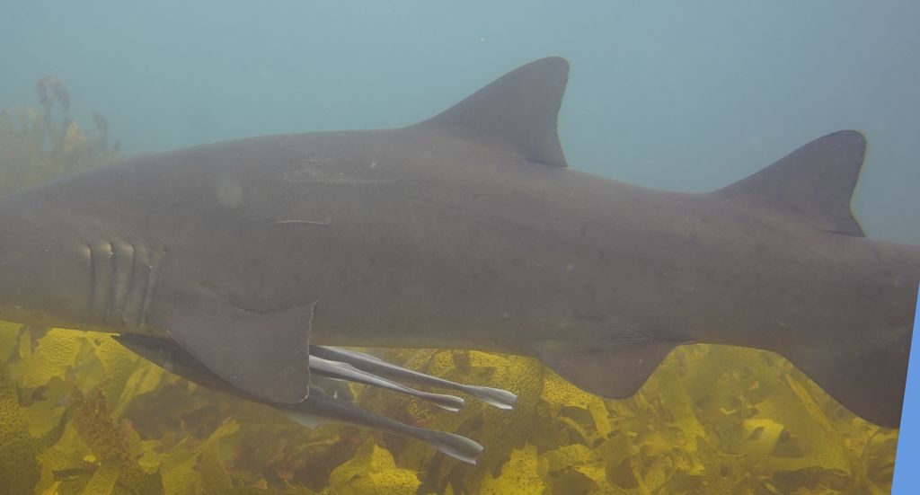 23e6f1d2-a782-4e6c-ac07-27ce05cb568a