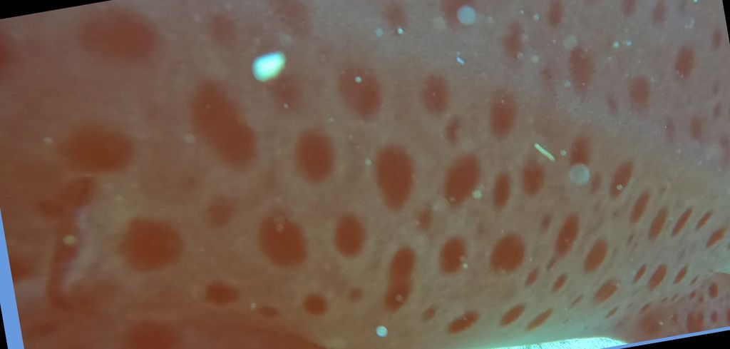 2a5f80dc-c72e-4715-bc91-2d9eef0ab096