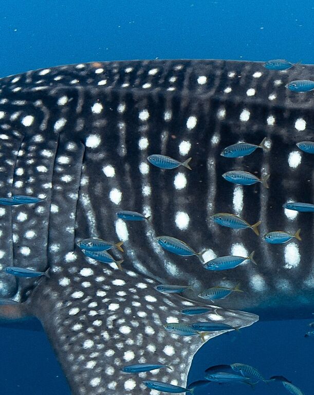 b4b9c729-7475-41f5-ba01-5c016e06495d