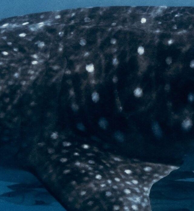 19af9aa0-b077-4aba-a713-a28a76e22a18