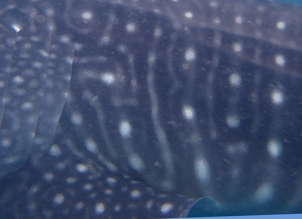 e296b140-971f-4fba-939b-9ed518f0a4f9