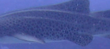 dcc9461e-05e5-457e-9461-372711328cfa