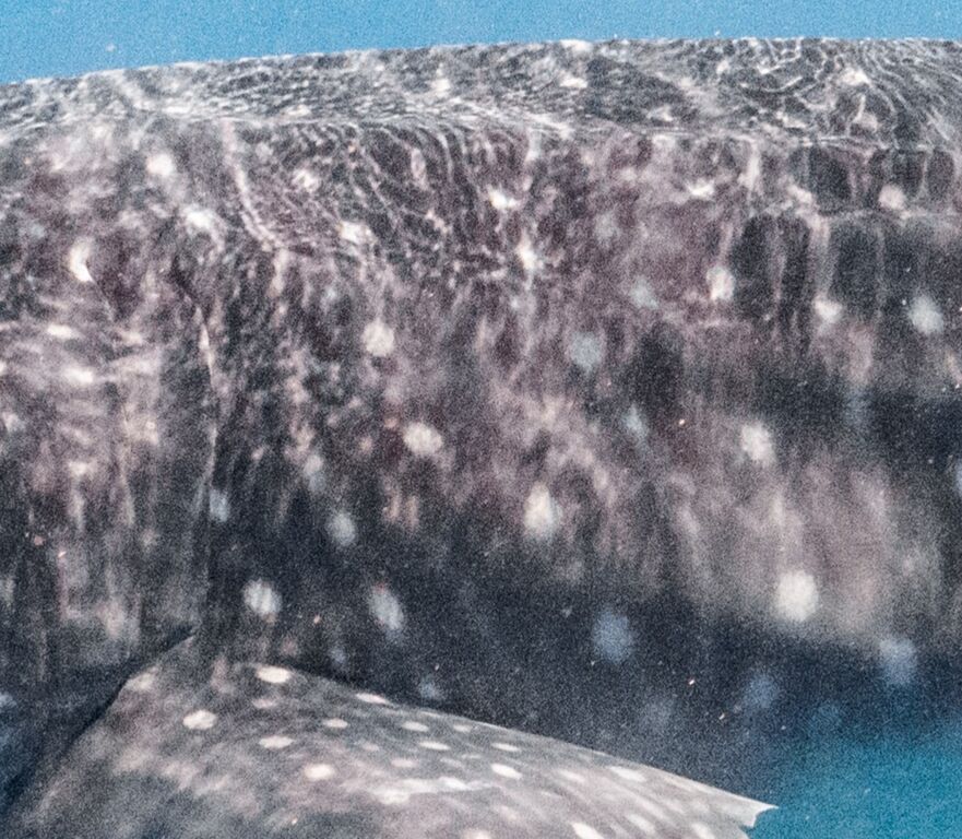 5e6c1361-2b48-4e90-b690-ea61ff163fcd