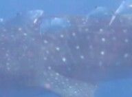 6c767d07-03af-410e-9d34-0557c918acdb