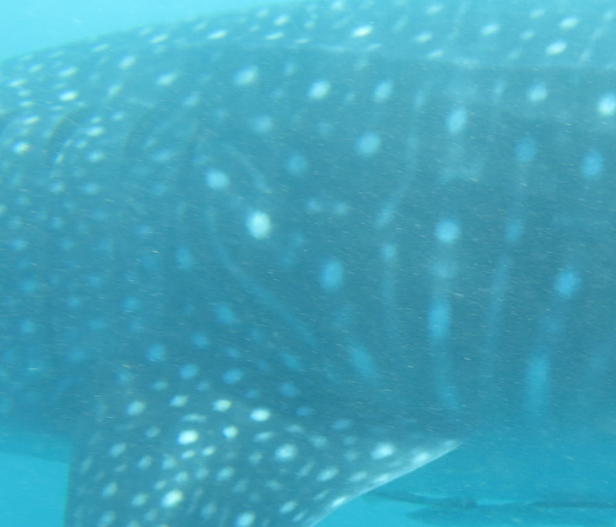 363e499d-0b3c-4c0b-bc2d-70bbe7e17b64