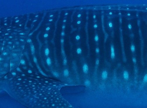 c419e095-59a7-4091-9aa5-5c8396d909fc