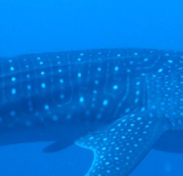 6d996c9d-a9cc-4d68-9c4b-2e49450ddab3