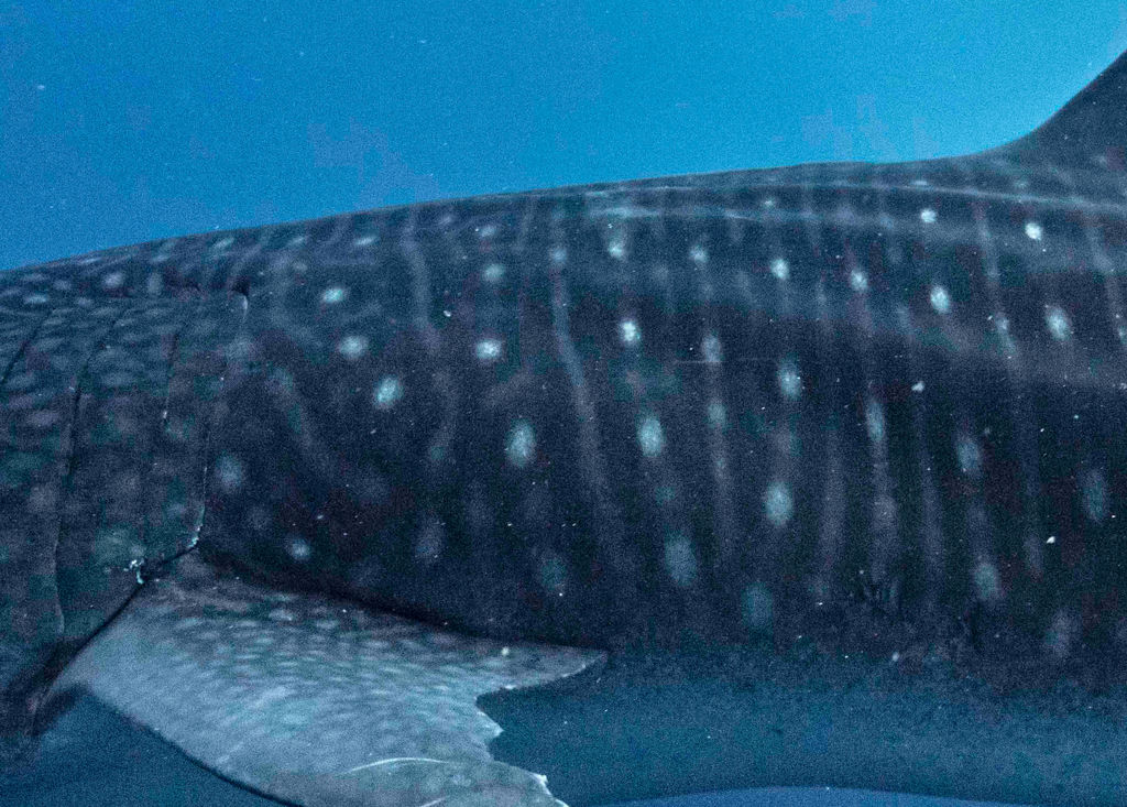 b8fb6816-1dac-40ef-ada7-cdcd432c740c