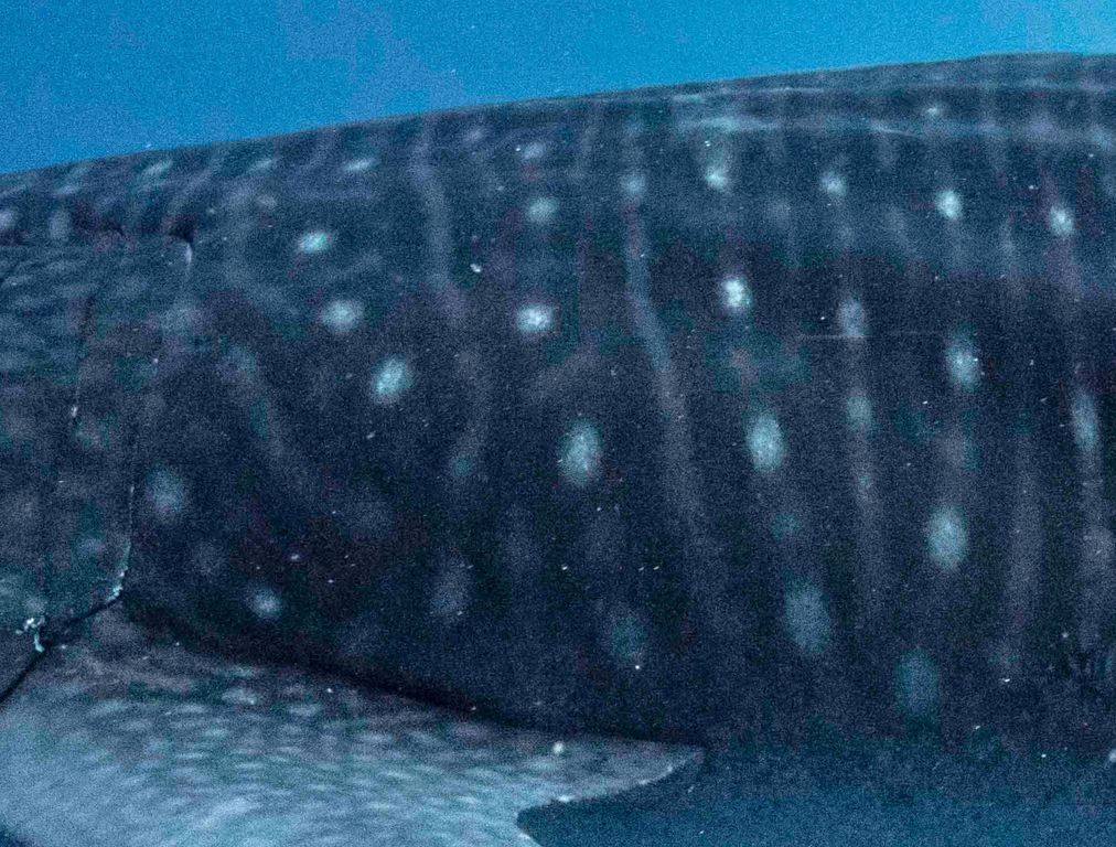 b8fb6816-1dac-40ef-ada7-cdcd432c740c