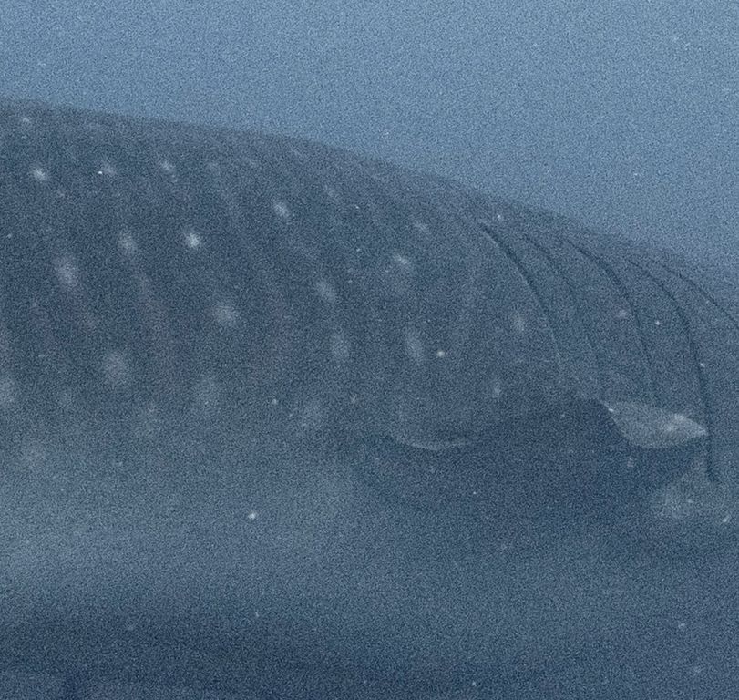 b8fb6816-1dac-40ef-ada7-cdcd432c740c