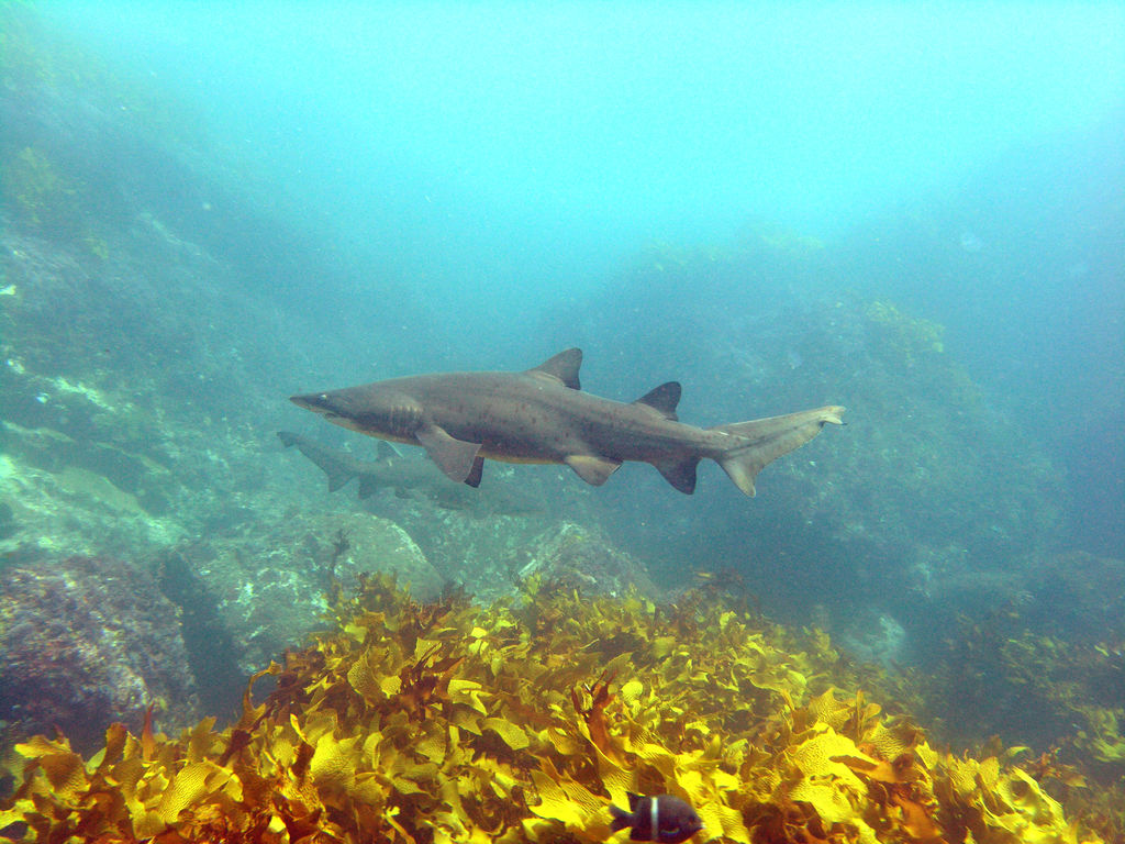 f8fac7d9-9f48-4d7b-81e2-3babd1294c09