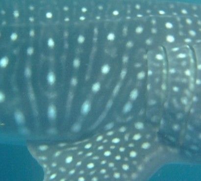 1750faf3-55d5-4a6a-8c28-202a6da26e9c