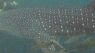 d7888f45-87bb-4042-a5e8-5795192e3a99