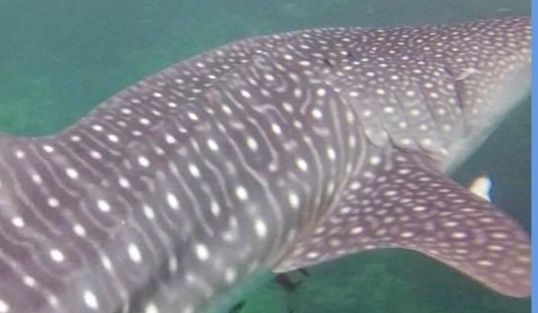 d7888f45-87bb-4042-a5e8-5795192e3a99