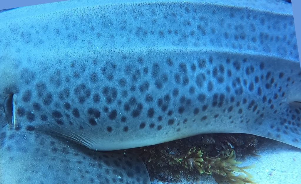 3fe71198-0a6a-4476-9800-aaae15c7bda4