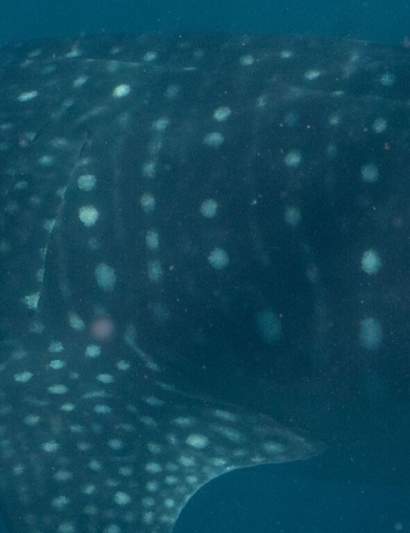 54868965-2164-4e65-8b20-046a47ca8972