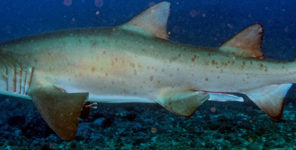 b753cf67-be87-4025-b9bf-4db317bbd706