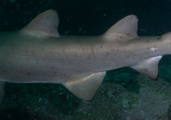 85d58559-4d74-4a1c-b6b0-1a77b7ca55d6