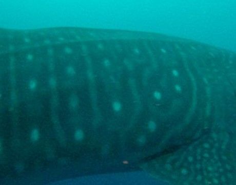 841c6885-2175-4864-be2a-8e5eec26666c