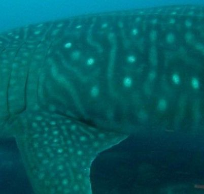 841c6885-2175-4864-be2a-8e5eec26666c