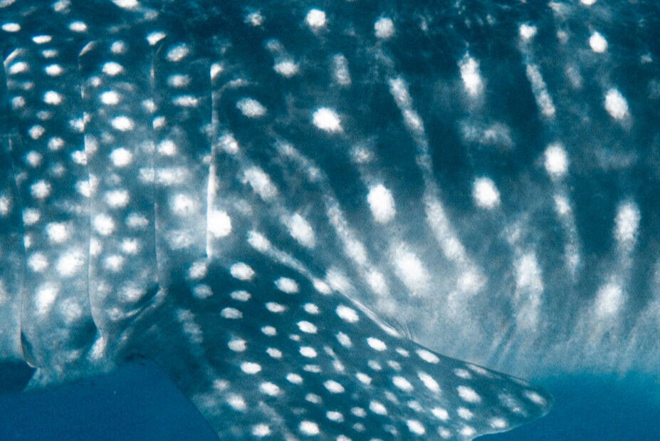 35761845-e84e-479d-b71e-b58017253525