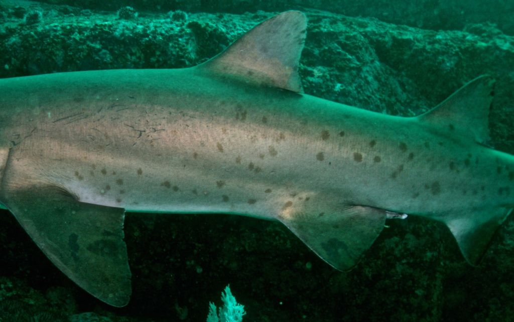 77d948d3-a9f5-4f45-a58f-833a134c8137