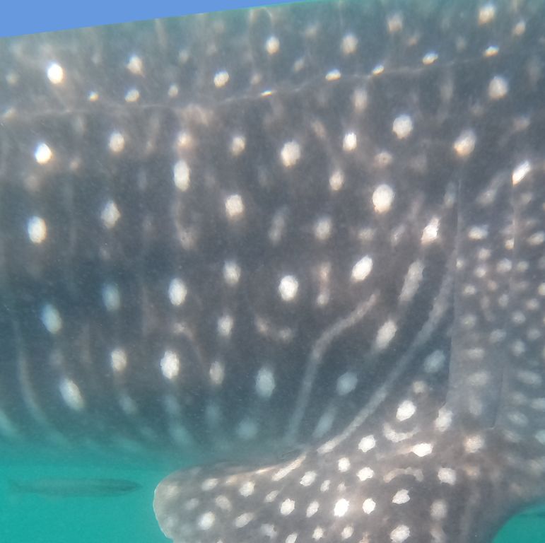 890052fc-e327-4554-8c62-b5d1c574d6ac