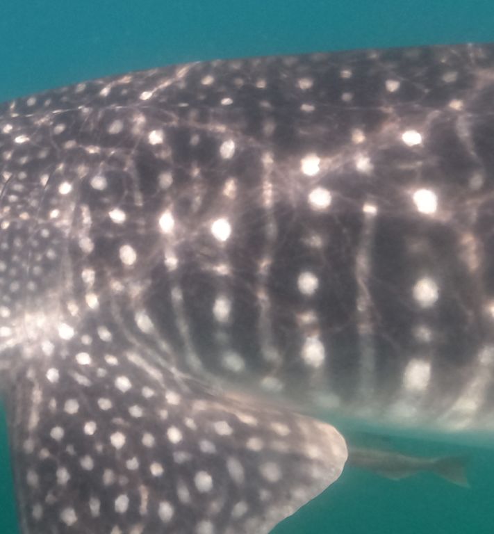 890052fc-e327-4554-8c62-b5d1c574d6ac