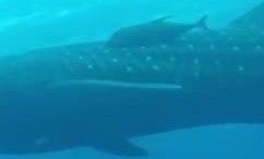 5e9285fc-f578-49f2-8714-d38e31604b5a