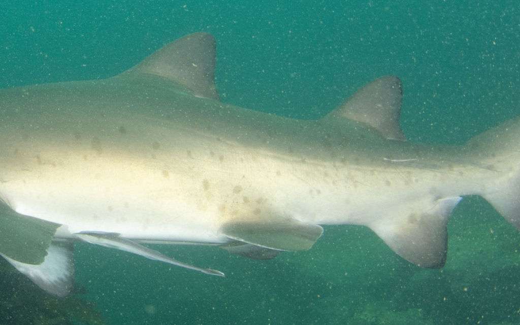 d3878503-c202-4cd0-af2f-47640f67b2aa