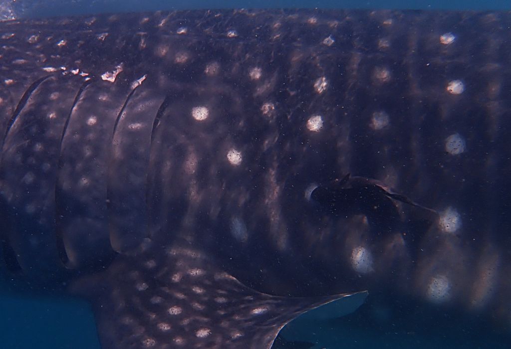 5a7a810b-5026-40a6-a5f8-0881163a652b