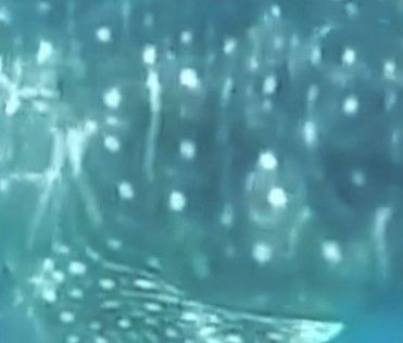 2dab4aa1-2df5-4810-8685-7fbbe606076a