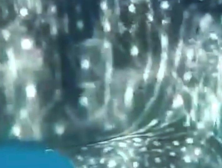 2dab4aa1-2df5-4810-8685-7fbbe606076a