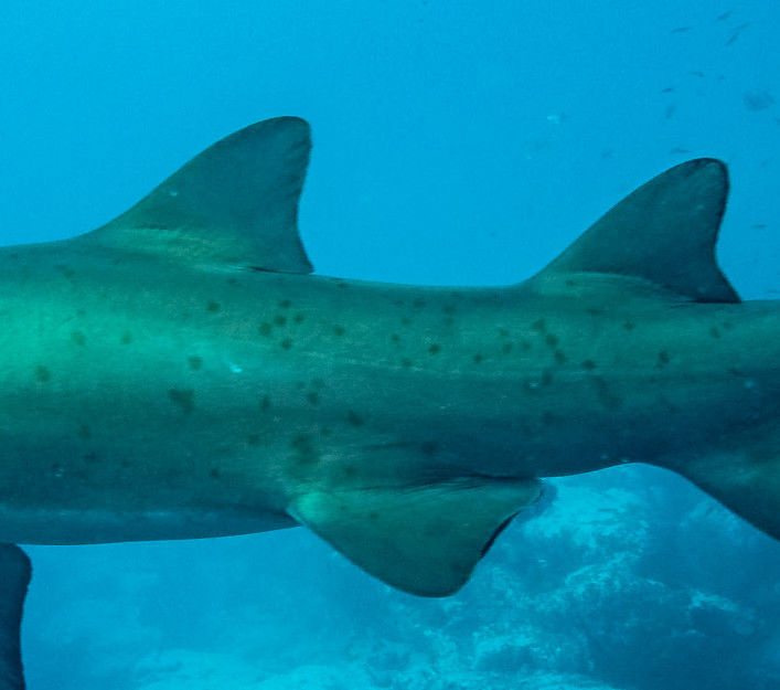 9769cb2a-a760-4e1c-8812-a0cb0c6856e4