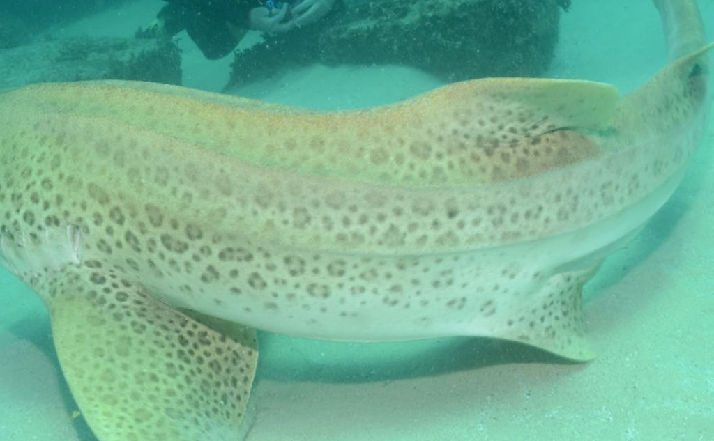 b48cf762-914c-41ed-b0a6-0f25b5601afc