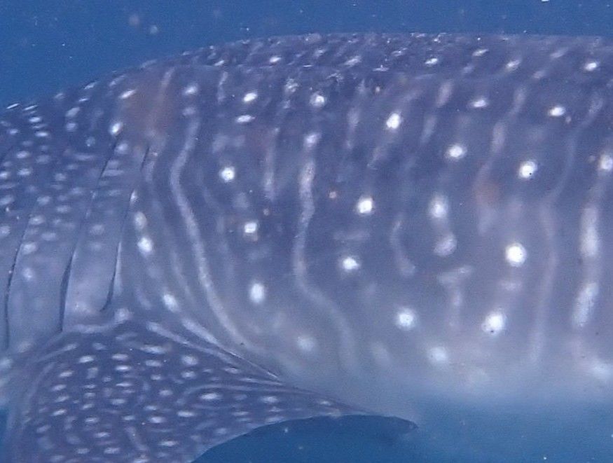 0796e396-71d6-4a1f-893a-e3db2e806be4