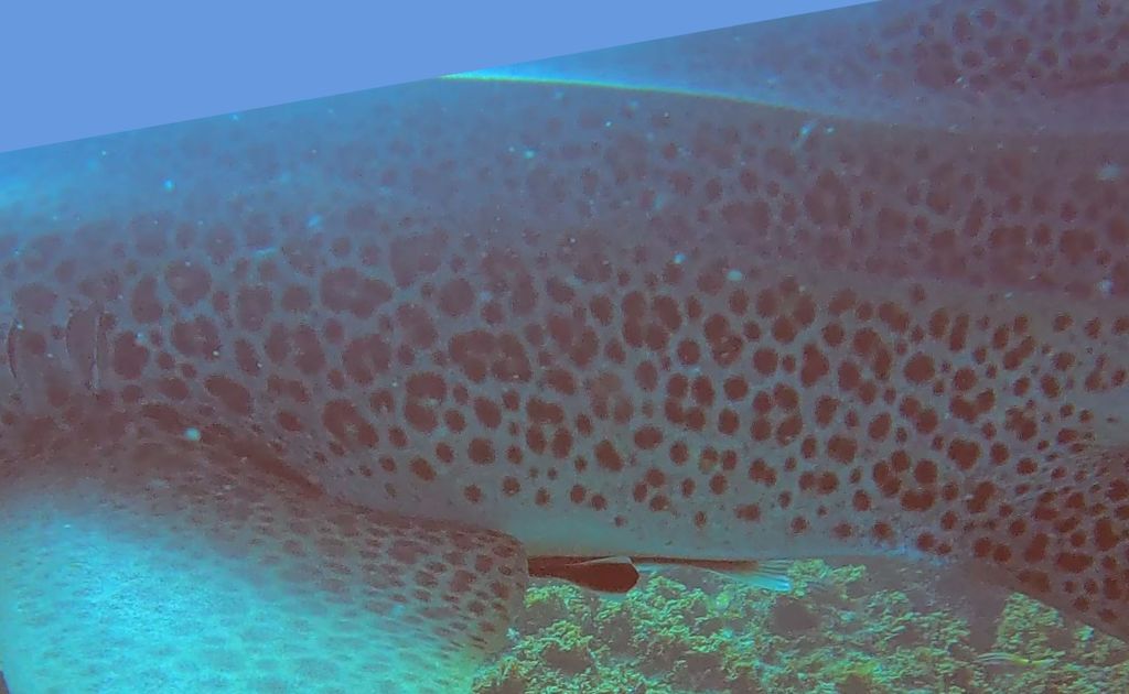 afbe0f0b-5989-4e1c-afa7-4199206f28fa