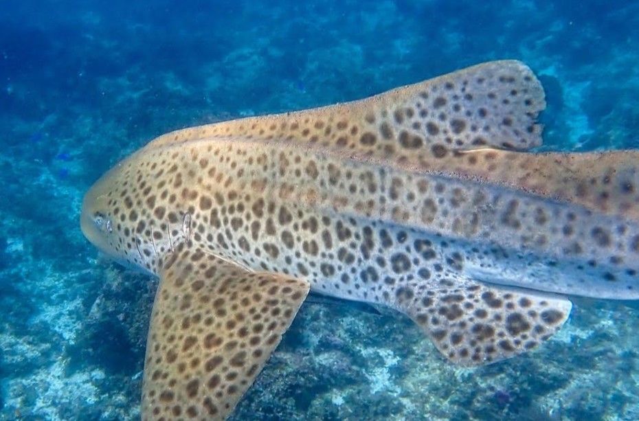 4874ecae-e565-411b-94e6-d91fab074b0f