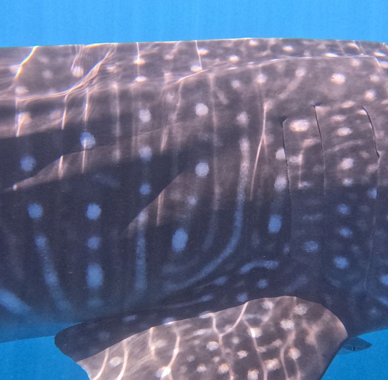 046bd8a4-6a1b-459b-a2d1-c6655bd9365c