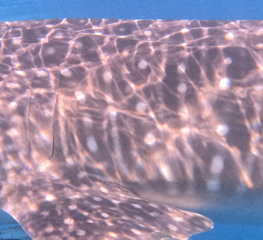 046bd8a4-6a1b-459b-a2d1-c6655bd9365c