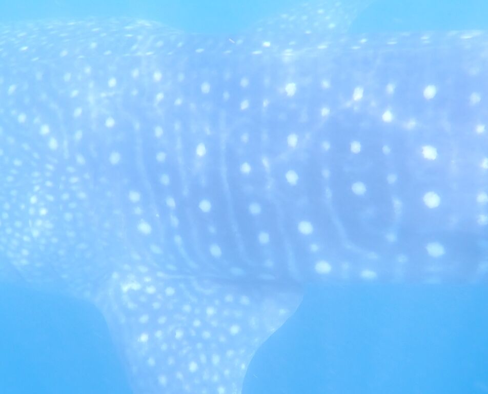 985b0db7-41b8-4357-8800-58fc1ddd4c5b