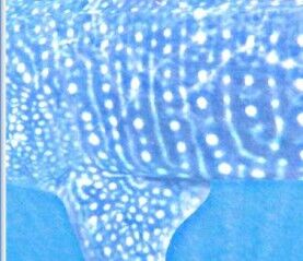 985b0db7-41b8-4357-8800-58fc1ddd4c5b