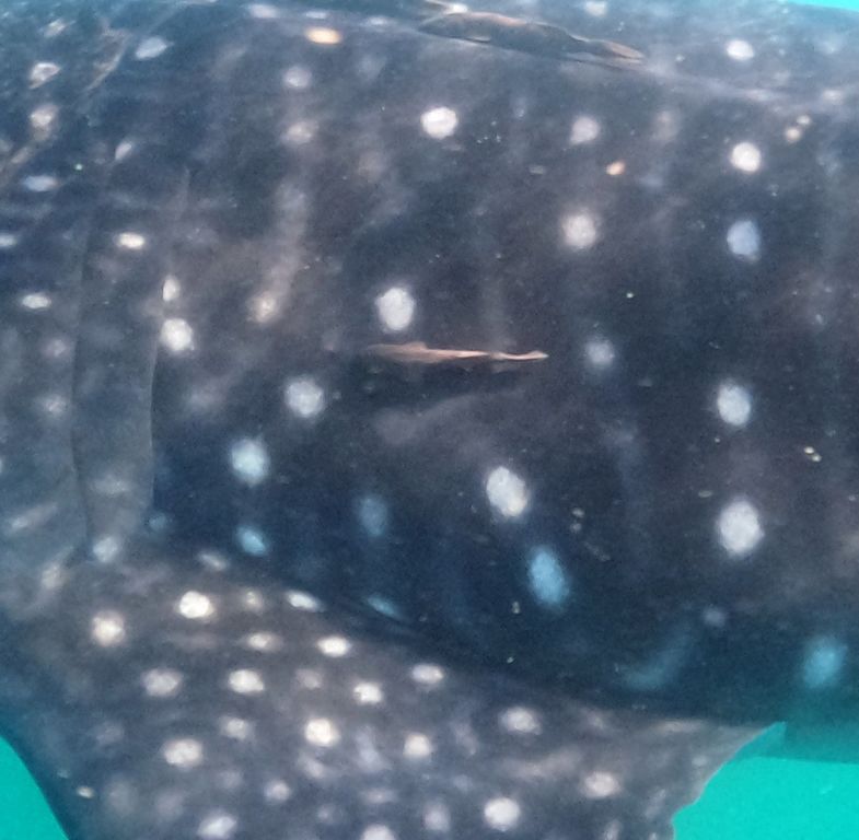 f7709649-0c84-4b6b-b6c2-af7d6b5ecf92