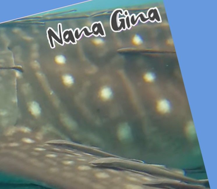 9473f87b-4d23-4177-abd3-105bf65e2f84