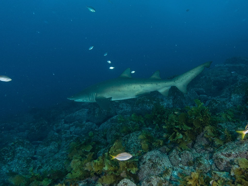 8487c253-15e7-464f-b56a-d666b23550ee