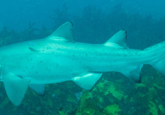 cc8b6016-dbcd-4d7f-8ddc-cfee72bd5220